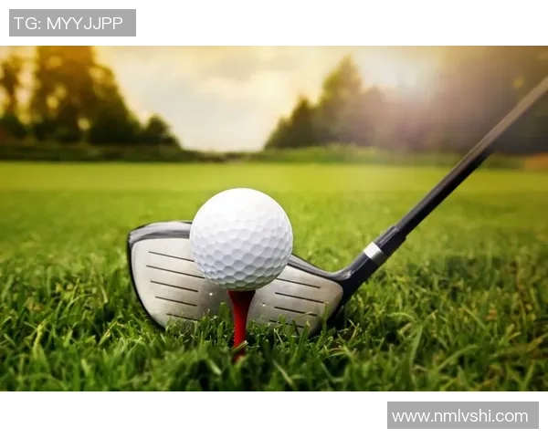 源自1934年威廉希尔携手您共赏体育魅力与激情的完美结合